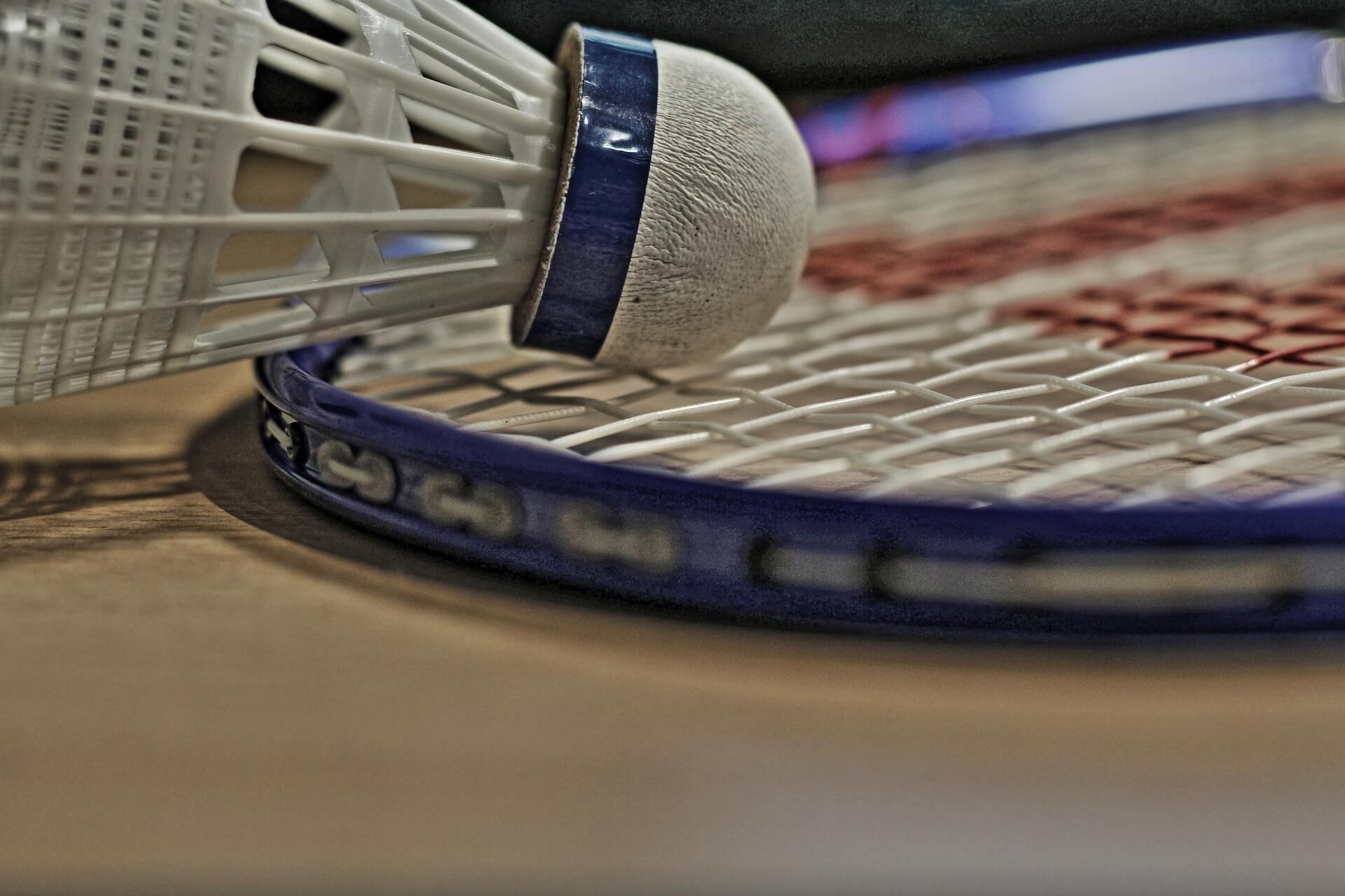 Badminton beim TSV