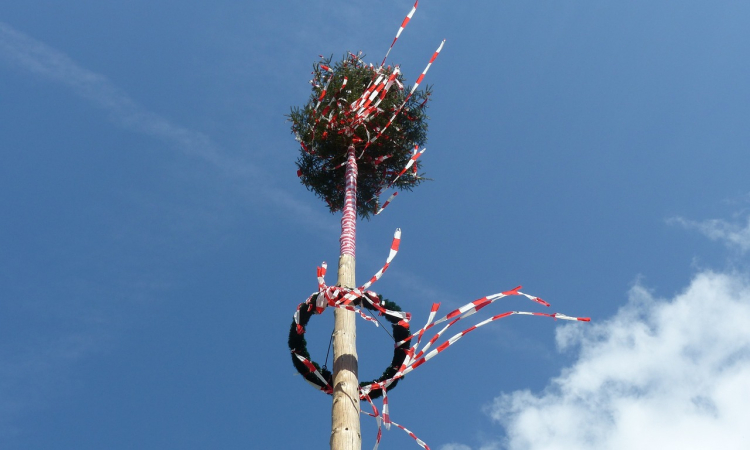 MAIBAUMAKTION MIT VORSTELLUNG DER NEUEN FESTDAMEN – DIESJÄHRIG VON UNSEREM TSV HÖPFINGEN!!!! 