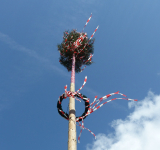 MAIBAUMAKTION MIT VORSTELLUNG DER NEUEN FESTDAMEN – DIESJÄHRIG VON UNSEREM TSV HÖPFINGEN!!!! 